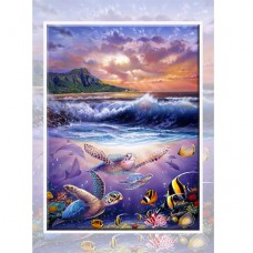 STEVE SUNDRAM GREETING CARD Turtle Wow